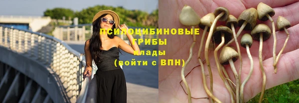 кристаллы Алексеевка