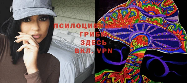 кокс Арсеньев