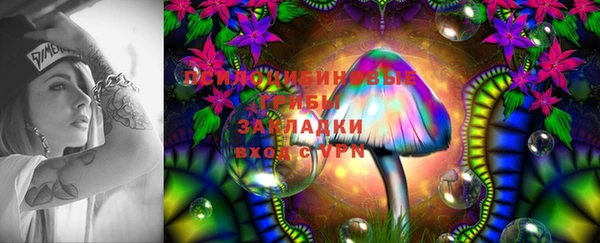 кокс Арсеньев