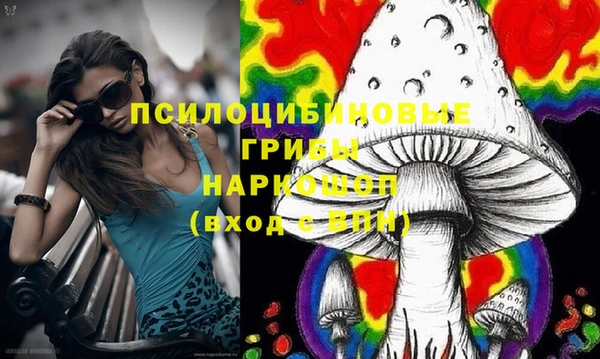 прущие крисы Аркадак